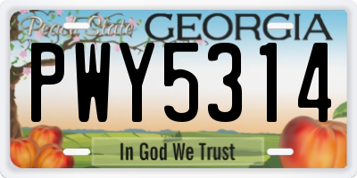 GA license plate PWY5314