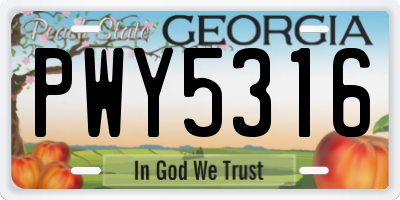 GA license plate PWY5316