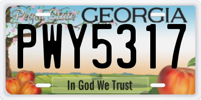 GA license plate PWY5317