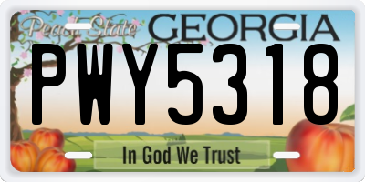 GA license plate PWY5318