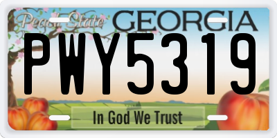GA license plate PWY5319