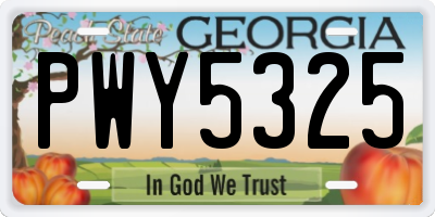 GA license plate PWY5325