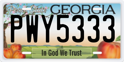 GA license plate PWY5333