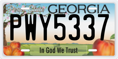 GA license plate PWY5337