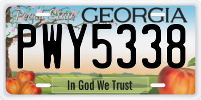 GA license plate PWY5338