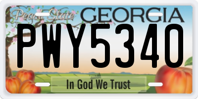 GA license plate PWY5340