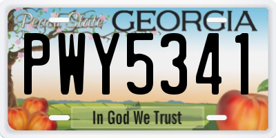 GA license plate PWY5341