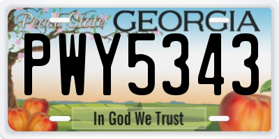 GA license plate PWY5343