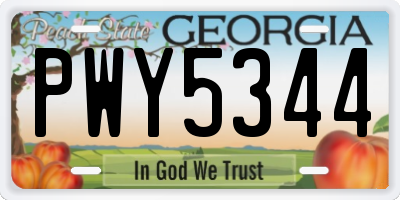 GA license plate PWY5344