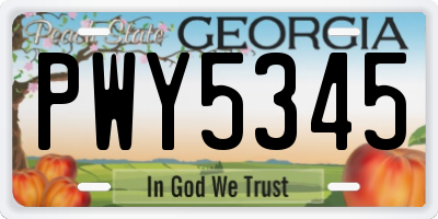 GA license plate PWY5345