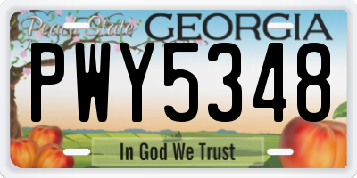 GA license plate PWY5348