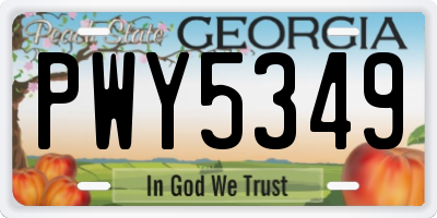 GA license plate PWY5349