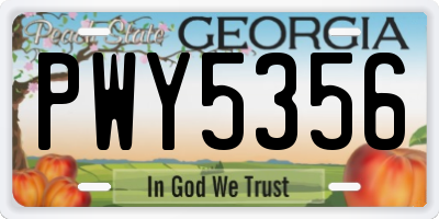 GA license plate PWY5356