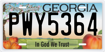 GA license plate PWY5364