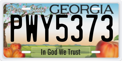 GA license plate PWY5373