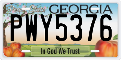 GA license plate PWY5376