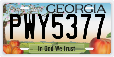 GA license plate PWY5377