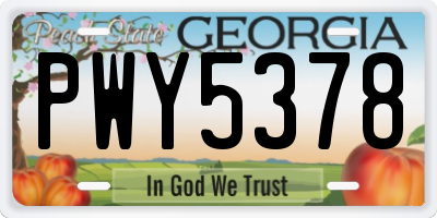 GA license plate PWY5378