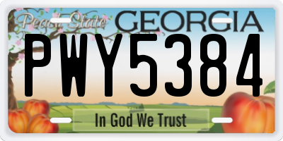 GA license plate PWY5384