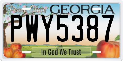 GA license plate PWY5387