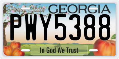 GA license plate PWY5388