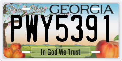 GA license plate PWY5391