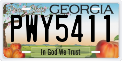 GA license plate PWY5411