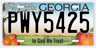 GA license plate PWY5425