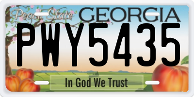 GA license plate PWY5435