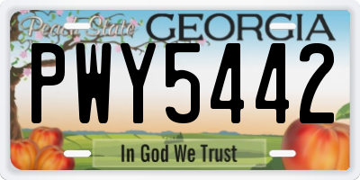 GA license plate PWY5442
