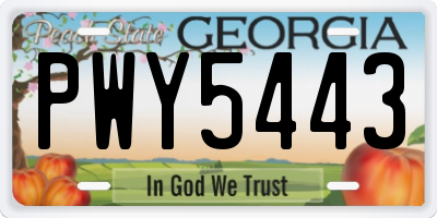 GA license plate PWY5443
