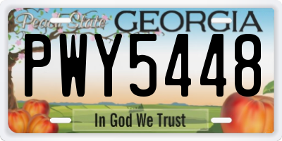 GA license plate PWY5448