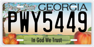 GA license plate PWY5449