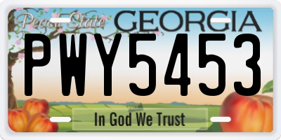 GA license plate PWY5453