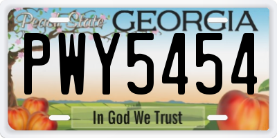 GA license plate PWY5454