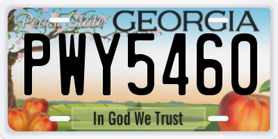 GA license plate PWY5460