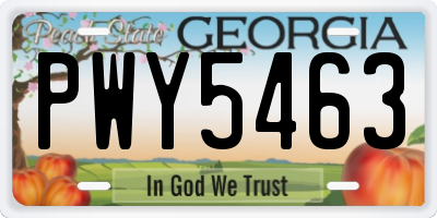 GA license plate PWY5463