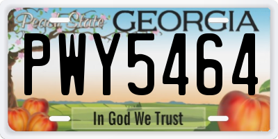 GA license plate PWY5464