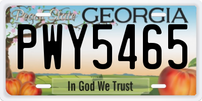 GA license plate PWY5465
