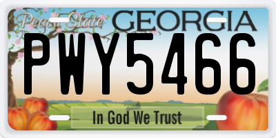 GA license plate PWY5466