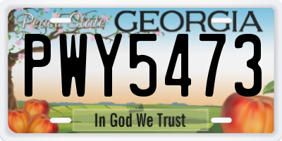 GA license plate PWY5473