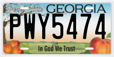 GA license plate PWY5474