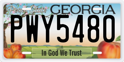 GA license plate PWY5480
