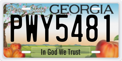 GA license plate PWY5481