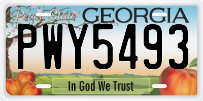 GA license plate PWY5493