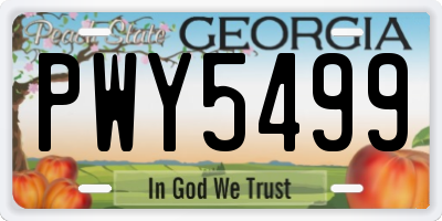 GA license plate PWY5499