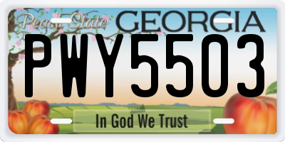 GA license plate PWY5503
