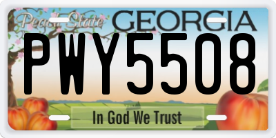 GA license plate PWY5508