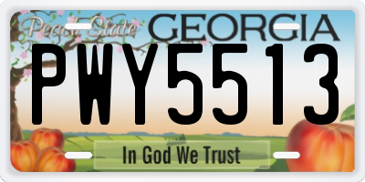 GA license plate PWY5513