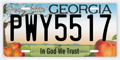 GA license plate PWY5517